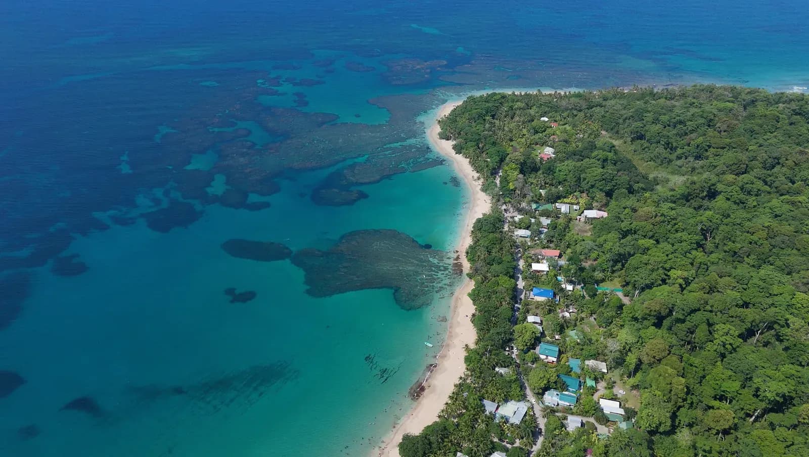Beach Guide: Which Beach Should You Visit in Puerto Viejo?