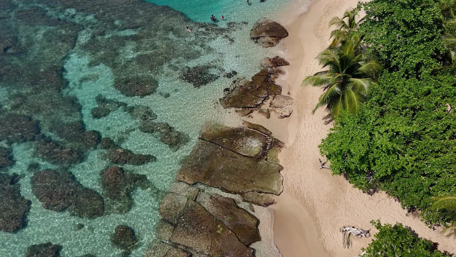 Caribbean reef and coastline near Puerto Viejo Costa Rica