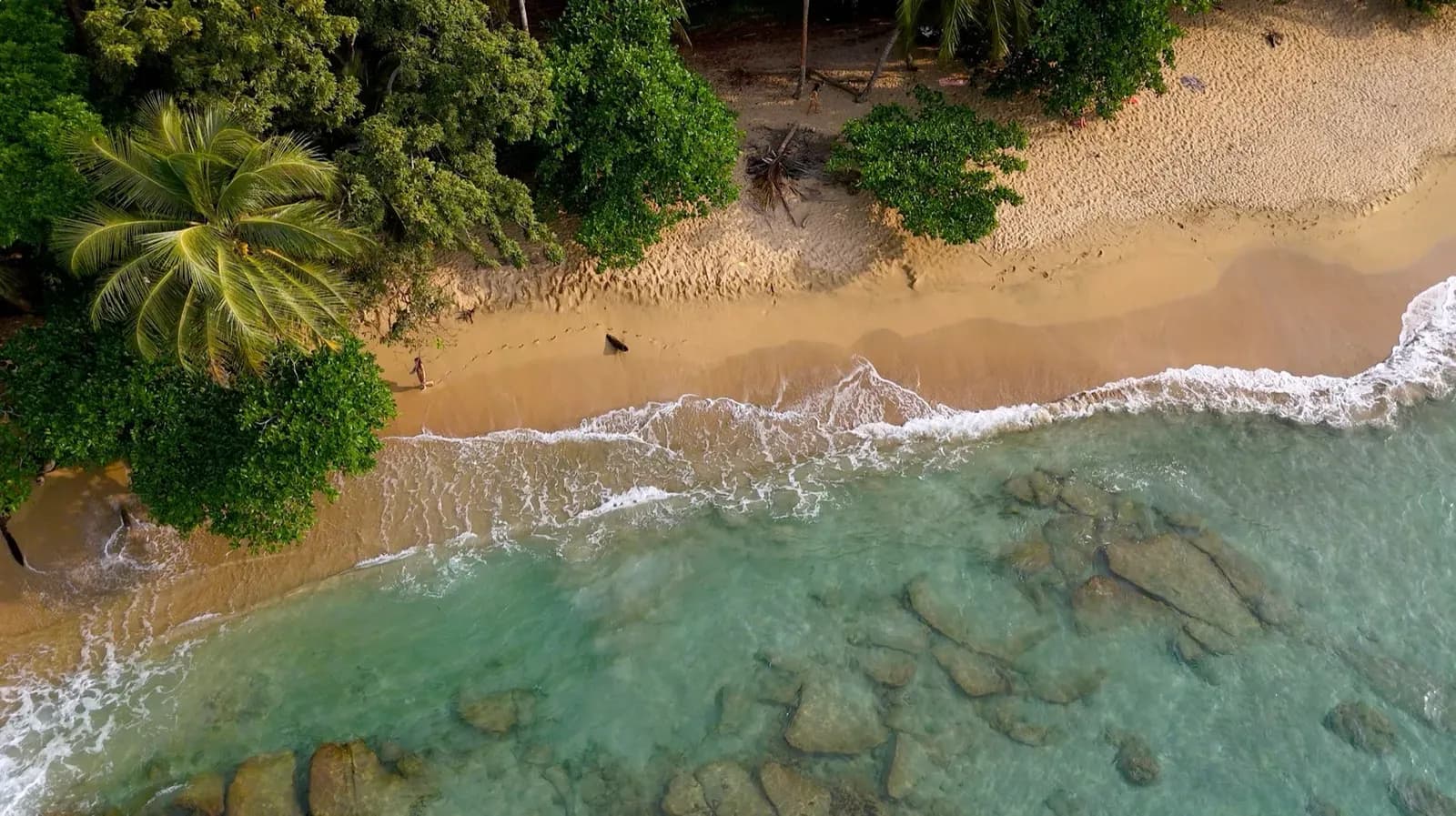Close to the beach
