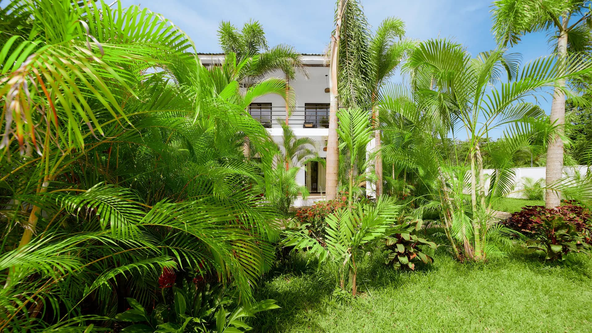 Casa Gray vista desde el jardín tropical