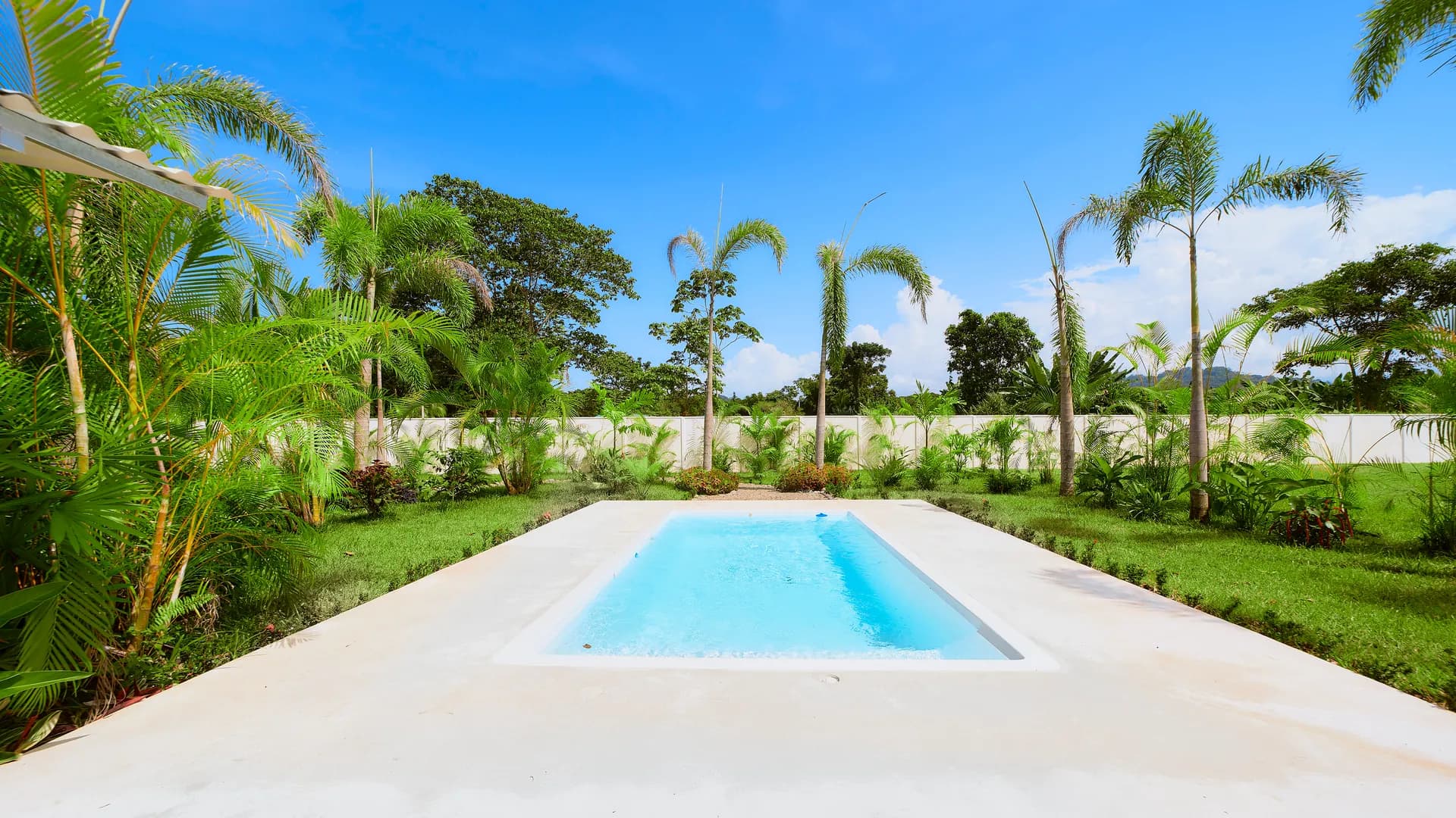 Piscina privada de Casa Gray rodeada de palmeras y césped
