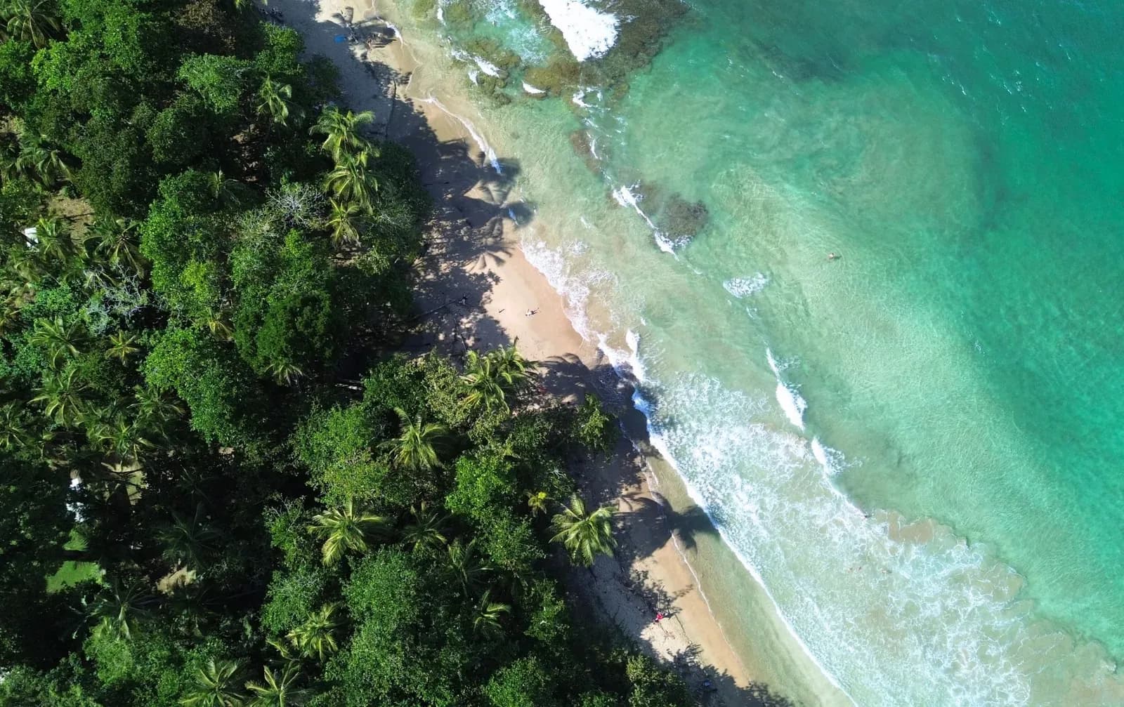 Playa Chiquita quiet rainforest-lined shoreline near Puerto Viejo