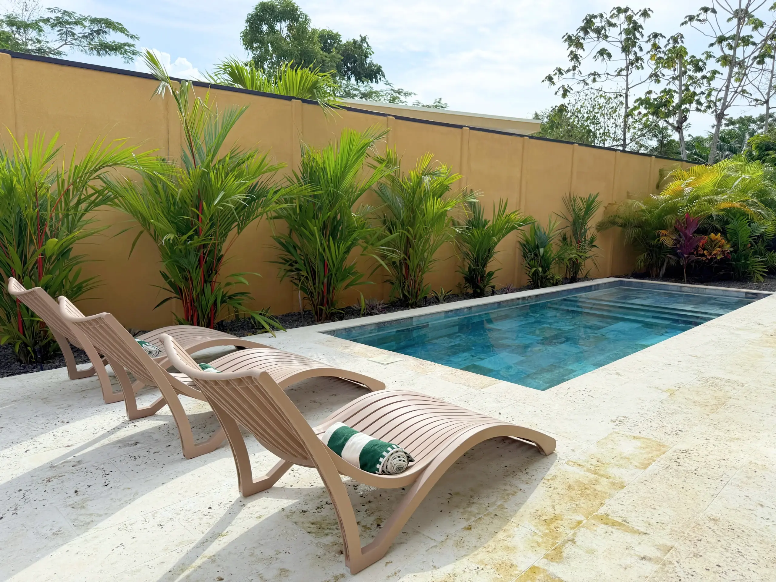 Phoenix Casa — Pool, Playa Negra